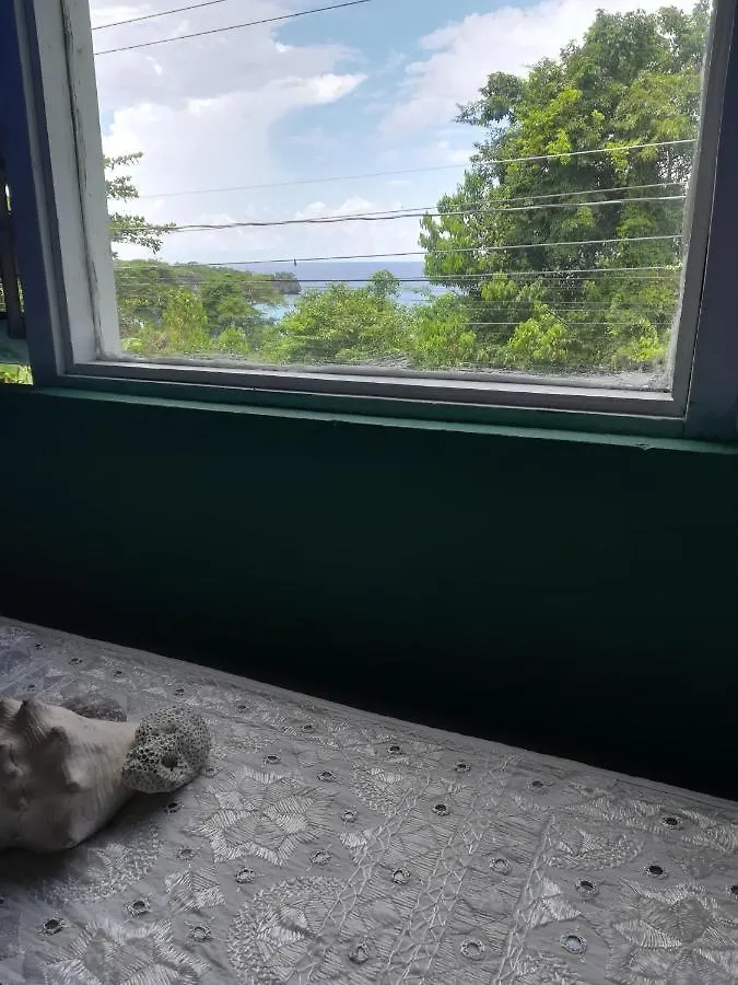 Toga Guest House Port Antonio Bed & Breakfast