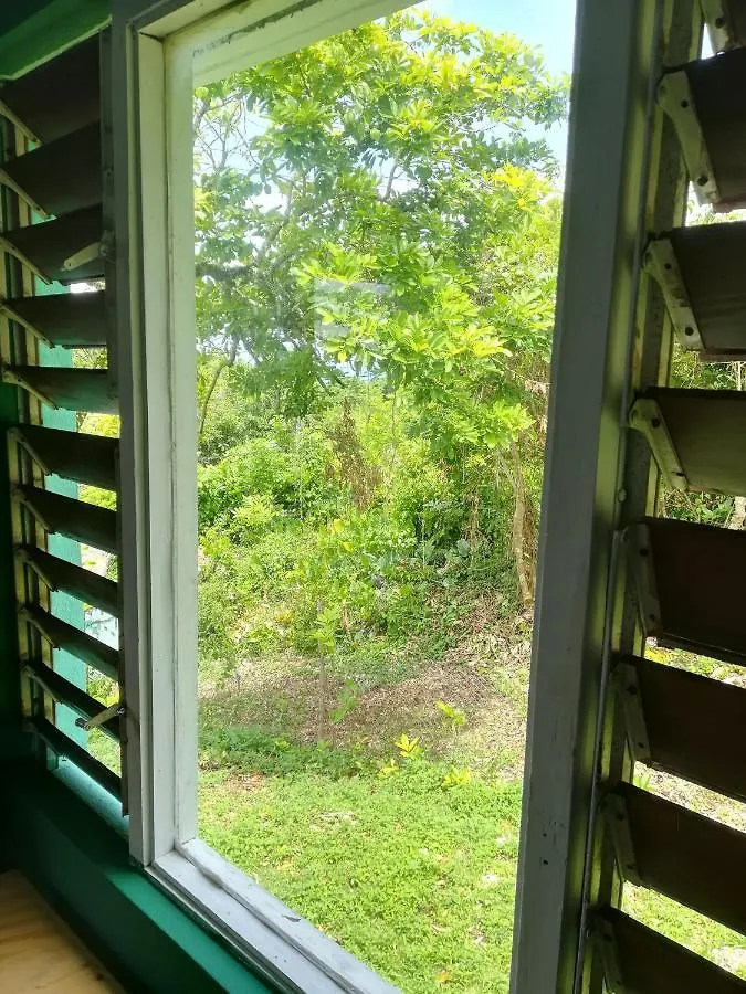 Toga Guest House Port Antonio 0*,
